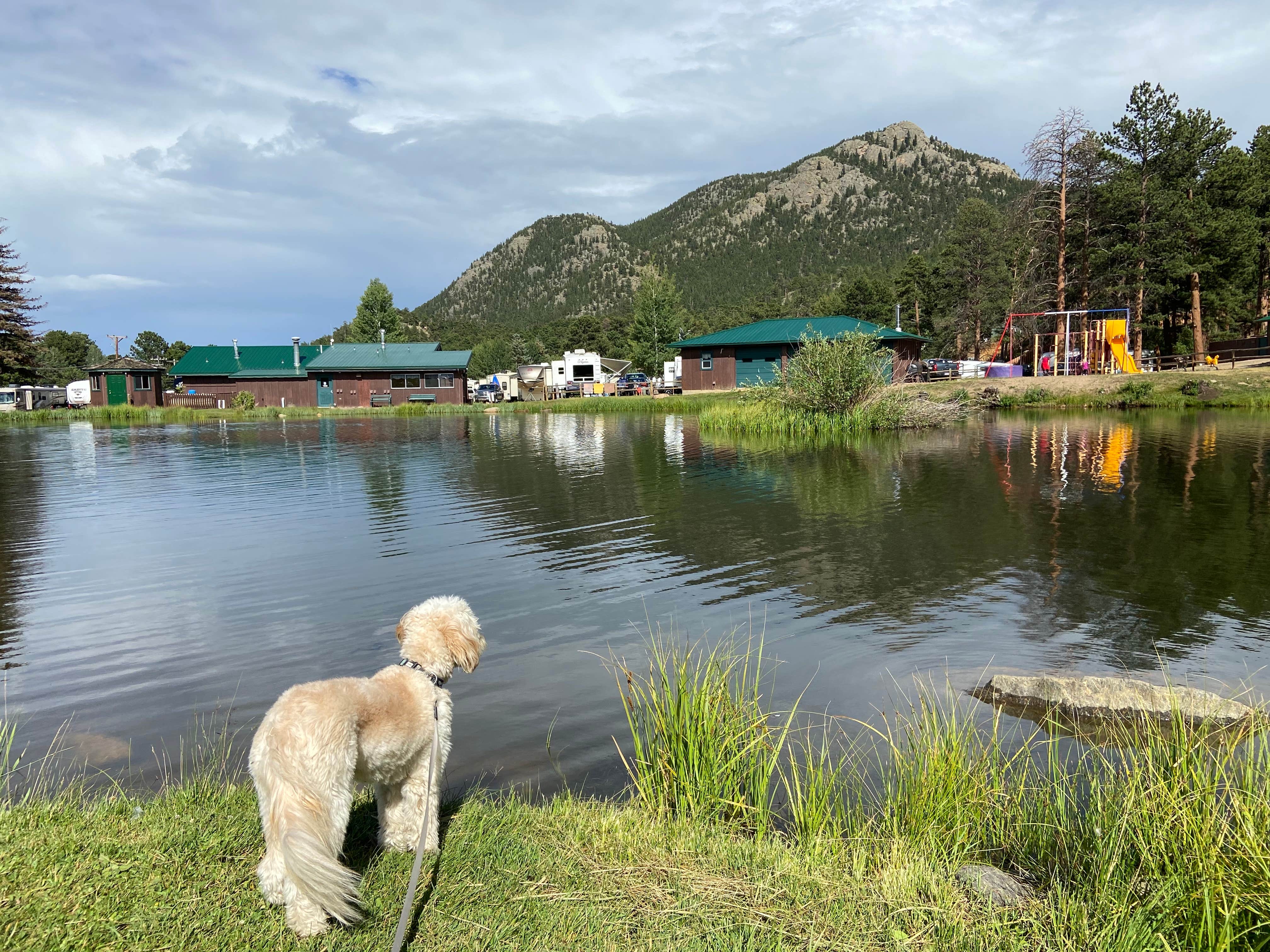 Zach H.'s photo of camping with pets at Spruce Lake RV Park near Estes Park, CO