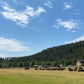 Review photo of Game Lodge Campground — Custer State Park by Zach H., August 9, 2020