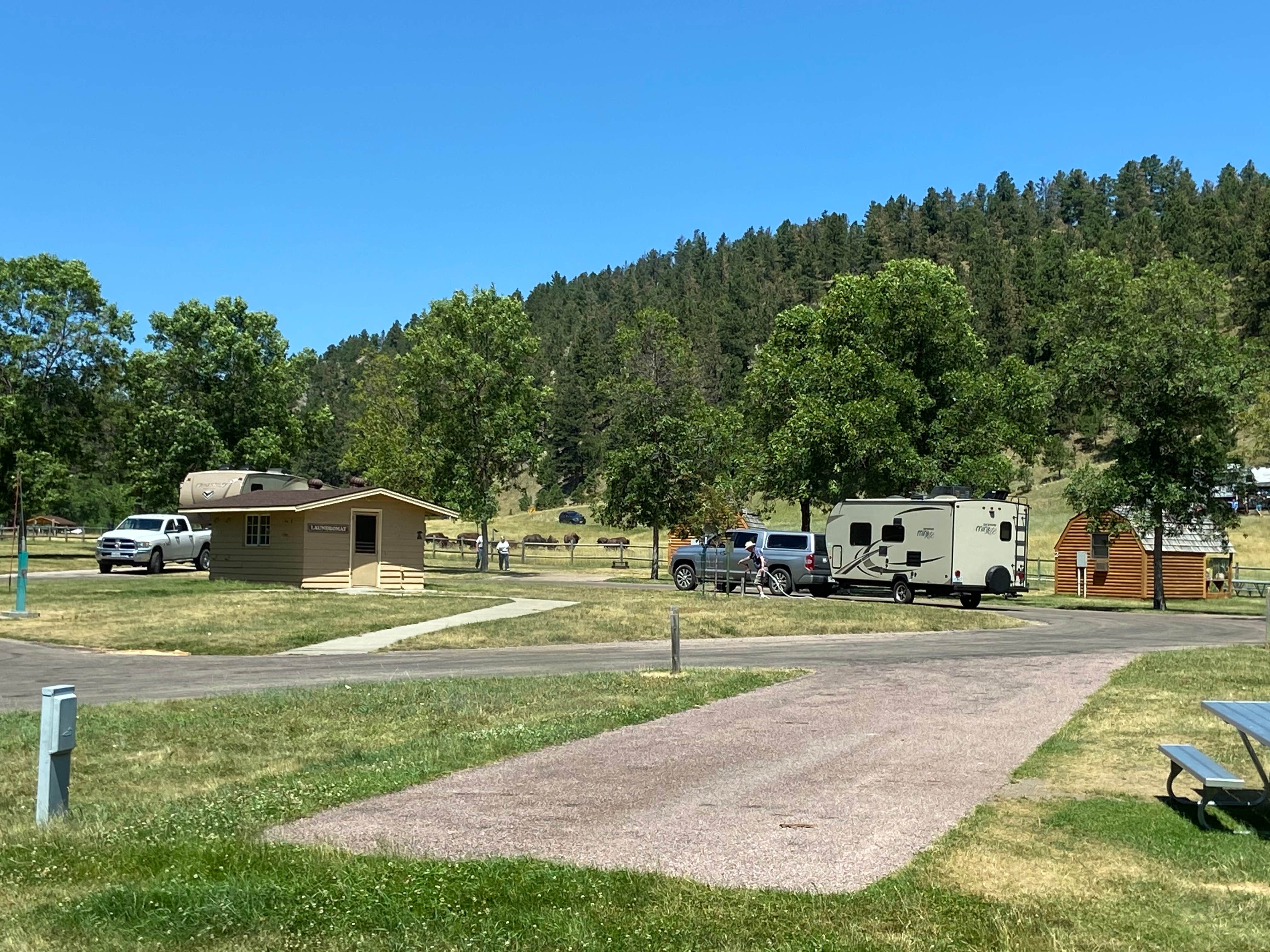 Camper submitted image from Game Lodge Campground — Custer State Park - 2