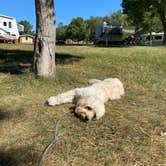 Review photo of Game Lodge Campground — Custer State Park by Zach H., August 9, 2020