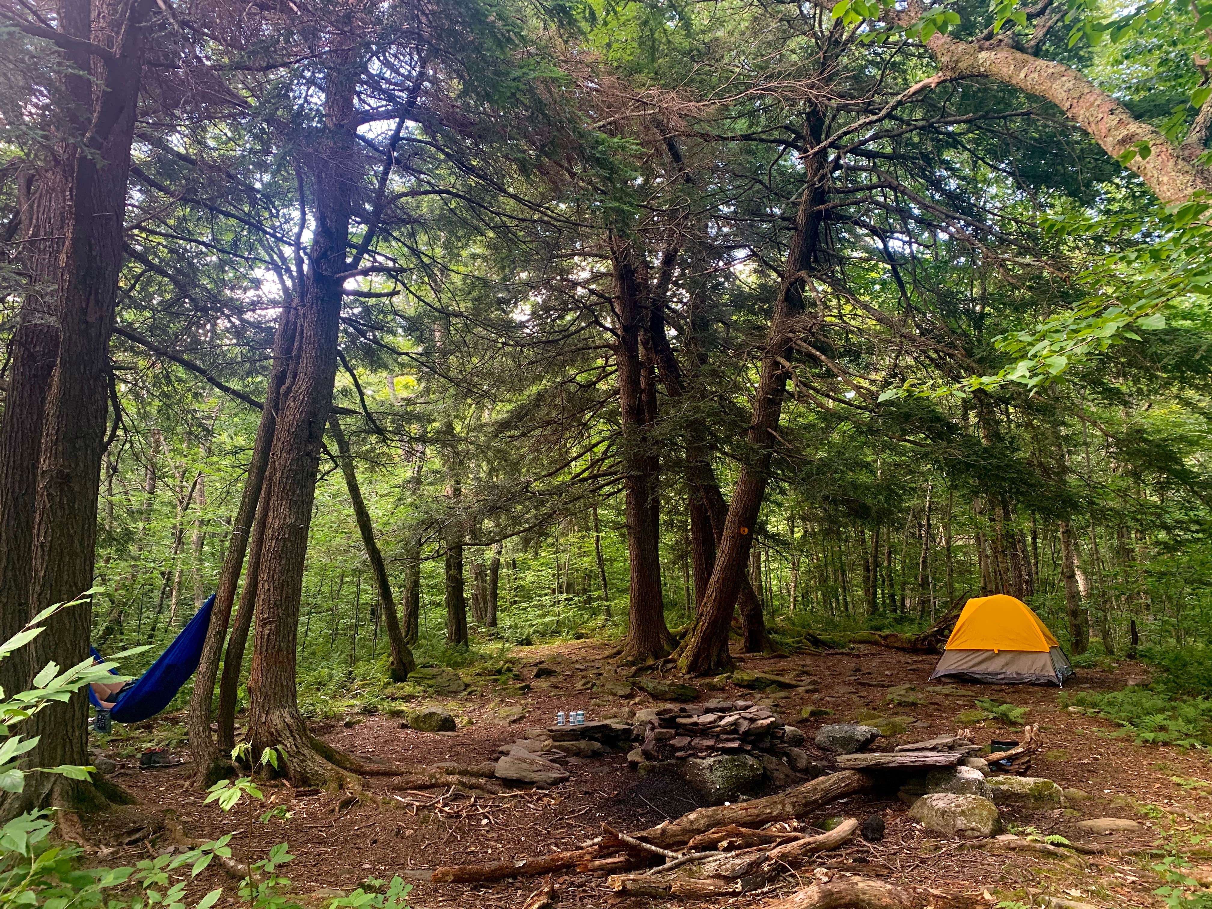 Emily S.'s photo at Giant Ledge Primitive Camp near Shandaken, NY