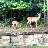 Review photo of Don Carter State Park Campground by Annell N., August 9, 2020