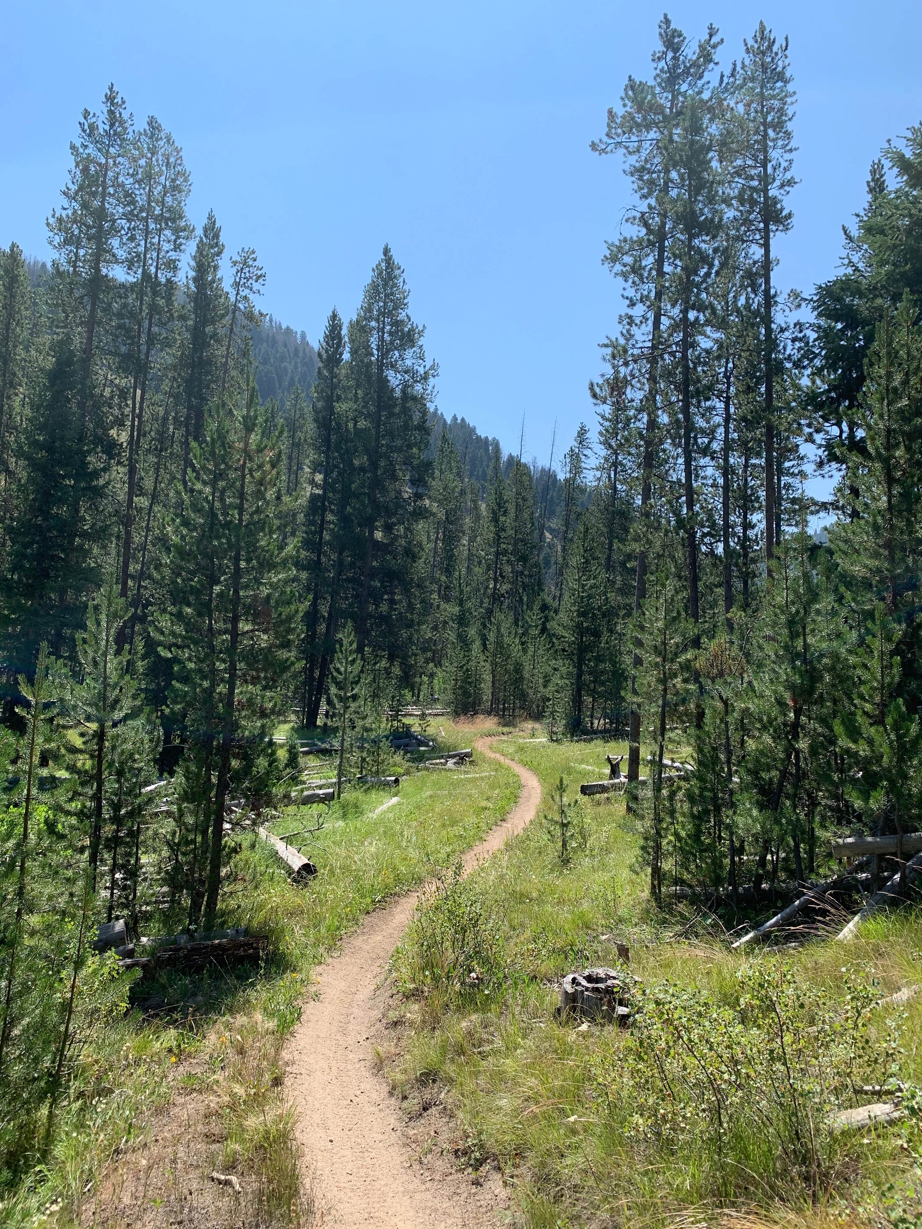 Camper-submitted photo at Casino Creek Campground in Idaho