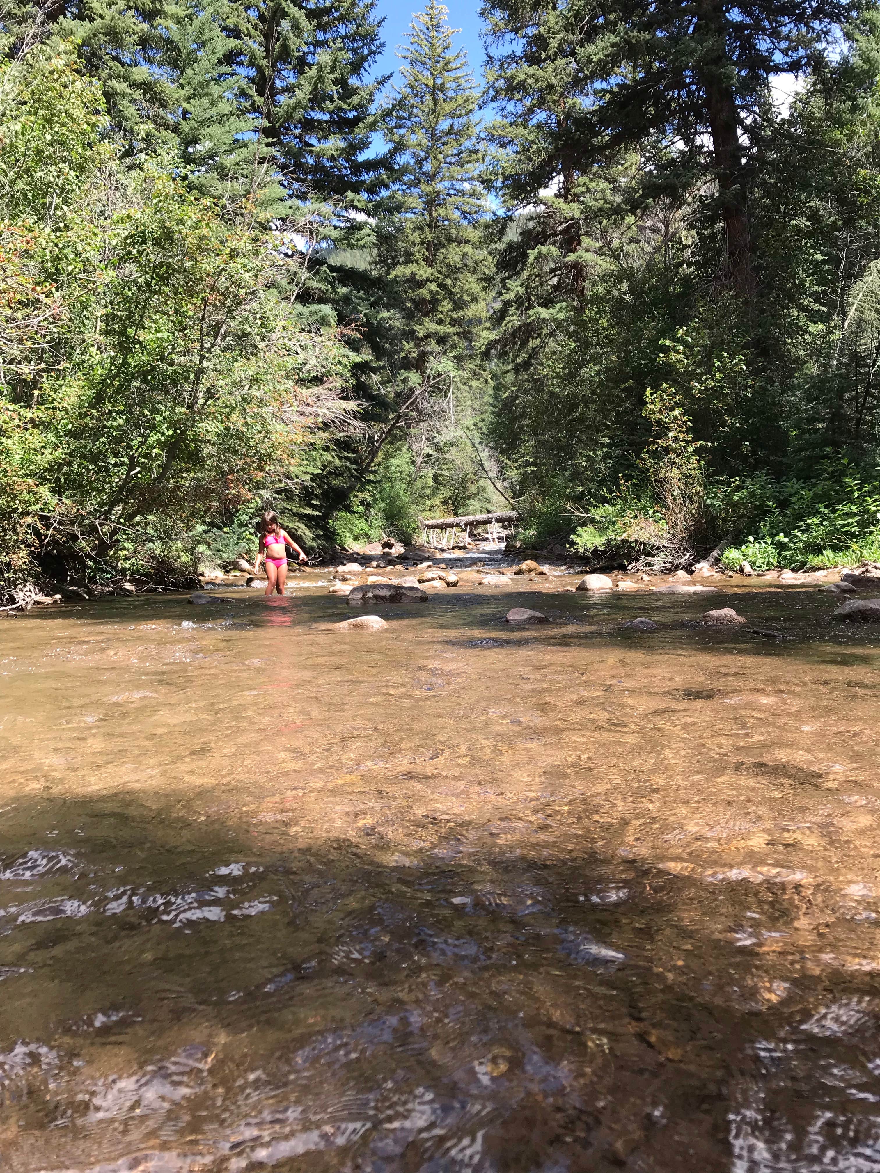 Camper-submitted photo at Cement Creek Campground near Crested Butte, CO