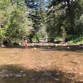 Review photo of Cement Creek Campground by Erin D., August 9, 2020