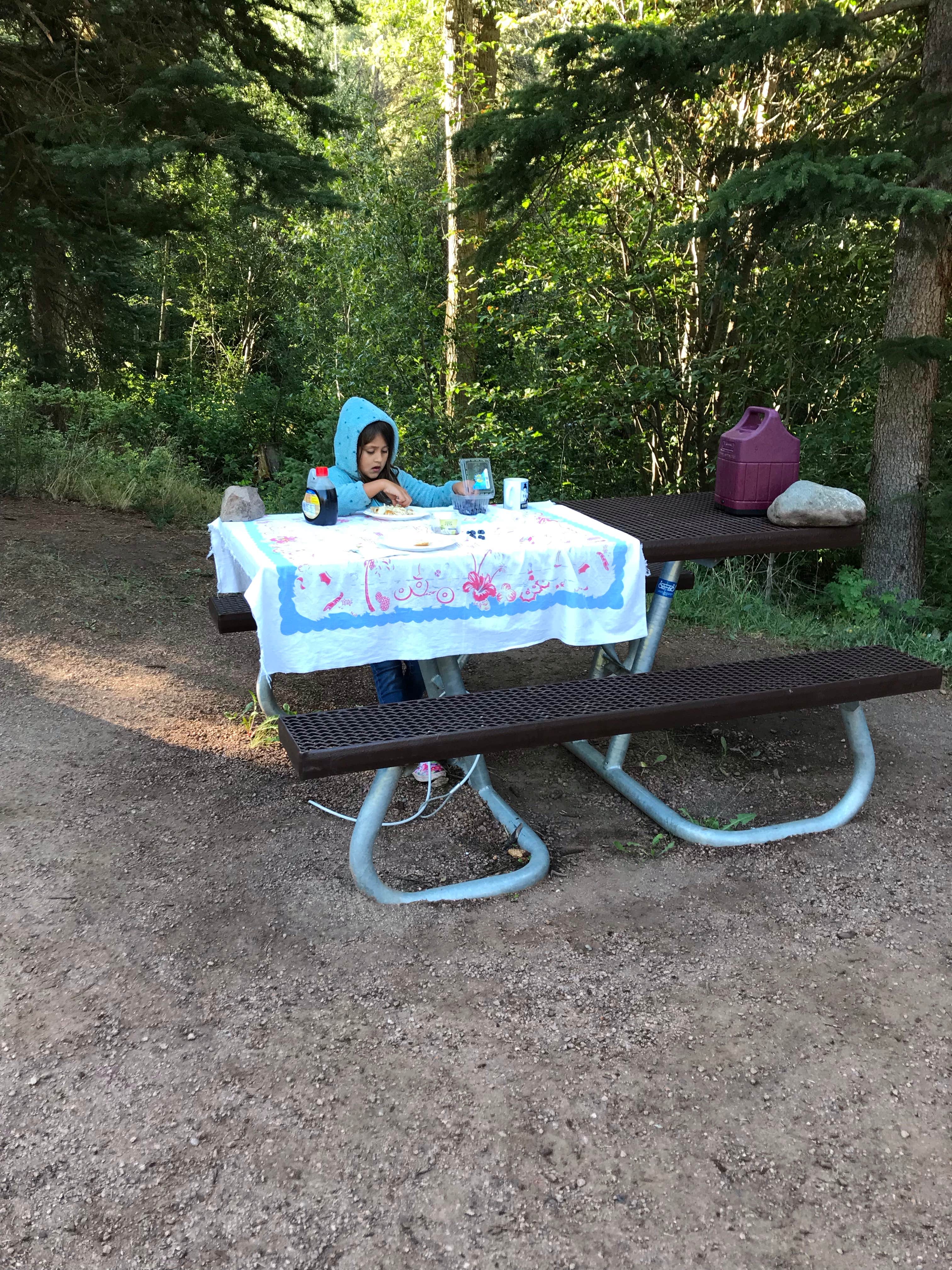Camper-submitted photo at Cement Creek Campground near Crested Butte, CO