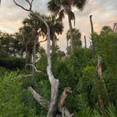 Review photo of Kathryn Abbey Hanna Park by Jenn B., August 9, 2020