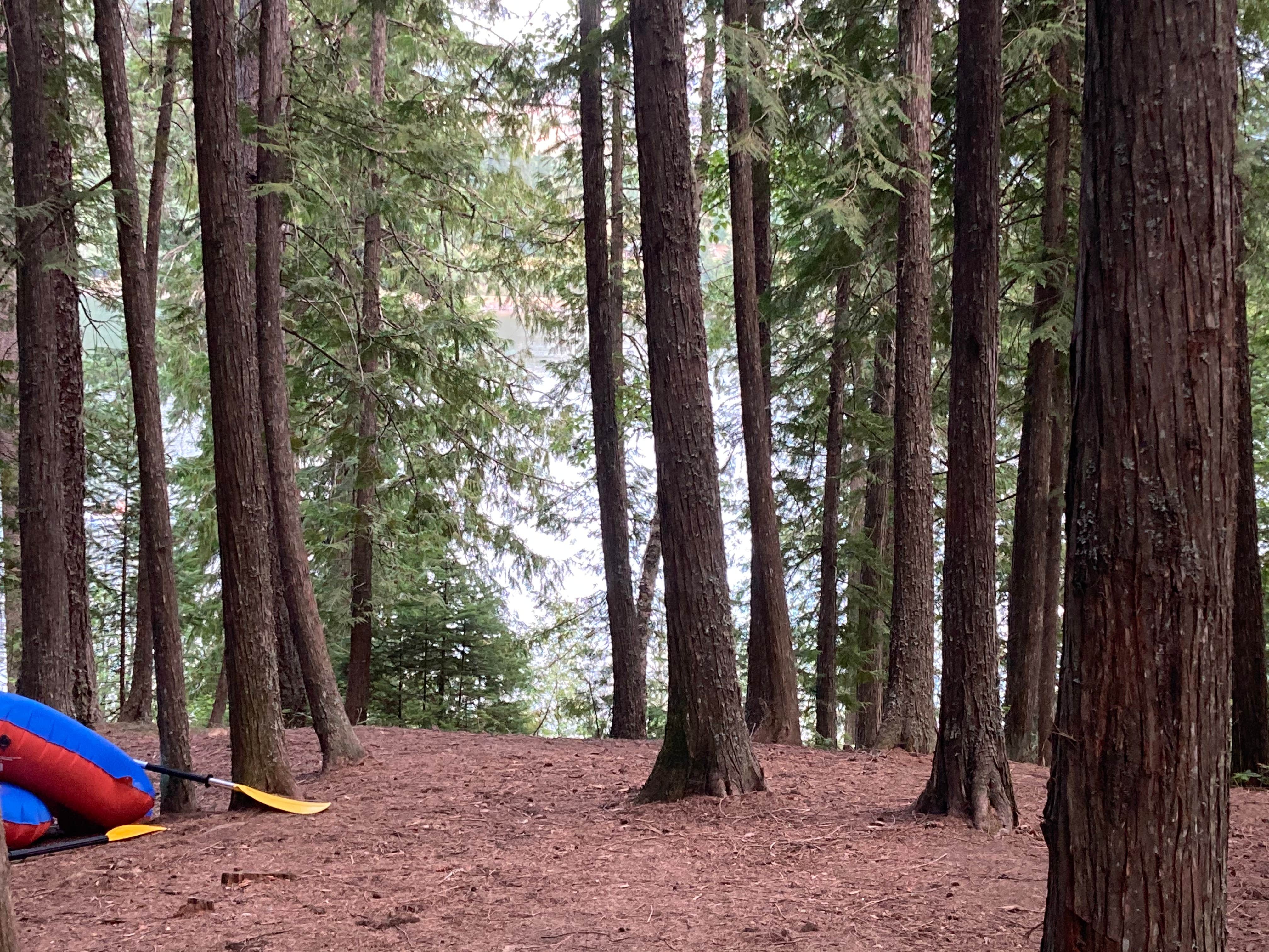 Camper-submitted photo at Bad Medicine Campground near Clark Fork, ID