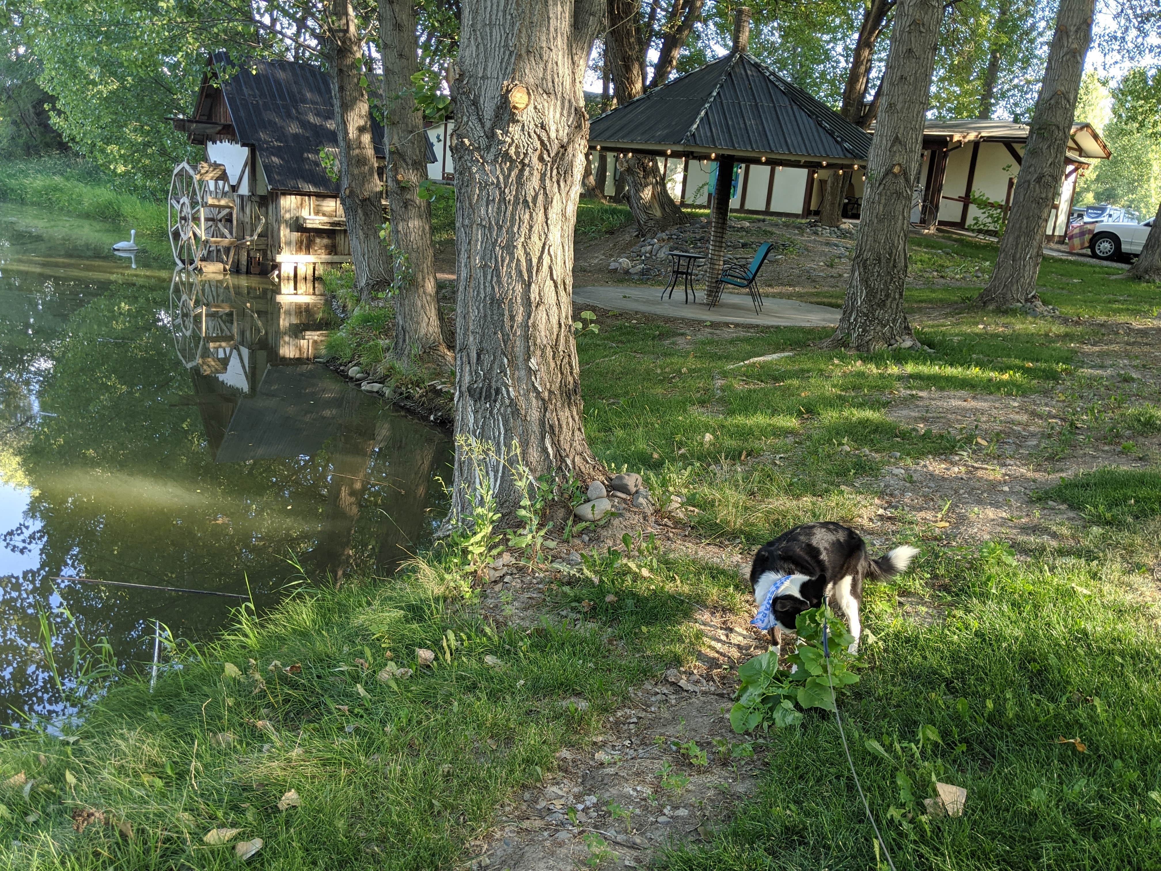 Camper-submitted photo at Uncompaghre River Resort near Delta, CO