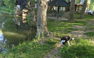 Paula S.'s photo of camping with pets at Uncompaghre River Resort near Black Canyon of the Gunnison National Park