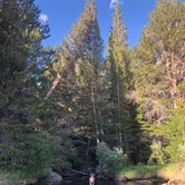 Review photo of Green Creek by Erin & Travis  M., August 9, 2020