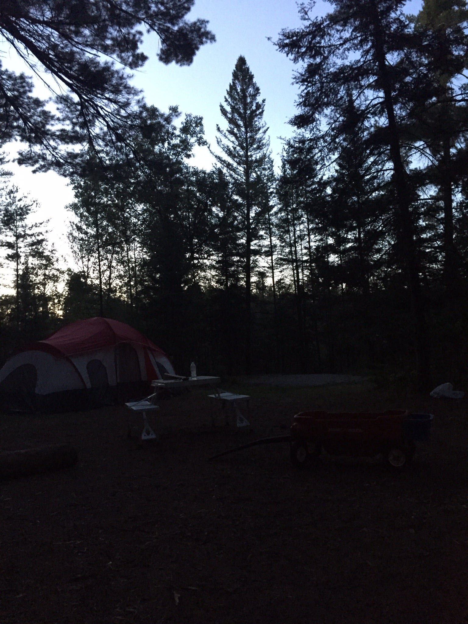 Camper submitted image from Cathedral Pines Campground - 1