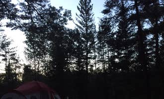 Camping near Muskrat Lake State Forest Campground: Cathedral Pines Campground, Mio, Michigan