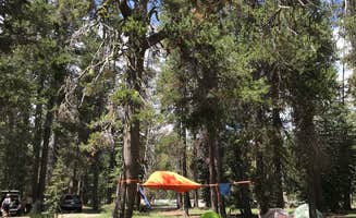 Esther Y.'s photo of a dispersed camping area at Bear Valley Dispersed Camping near Twin Bridges, CA