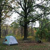 Review photo of Ryerson Station State Park by Brian S., April 20, 2018