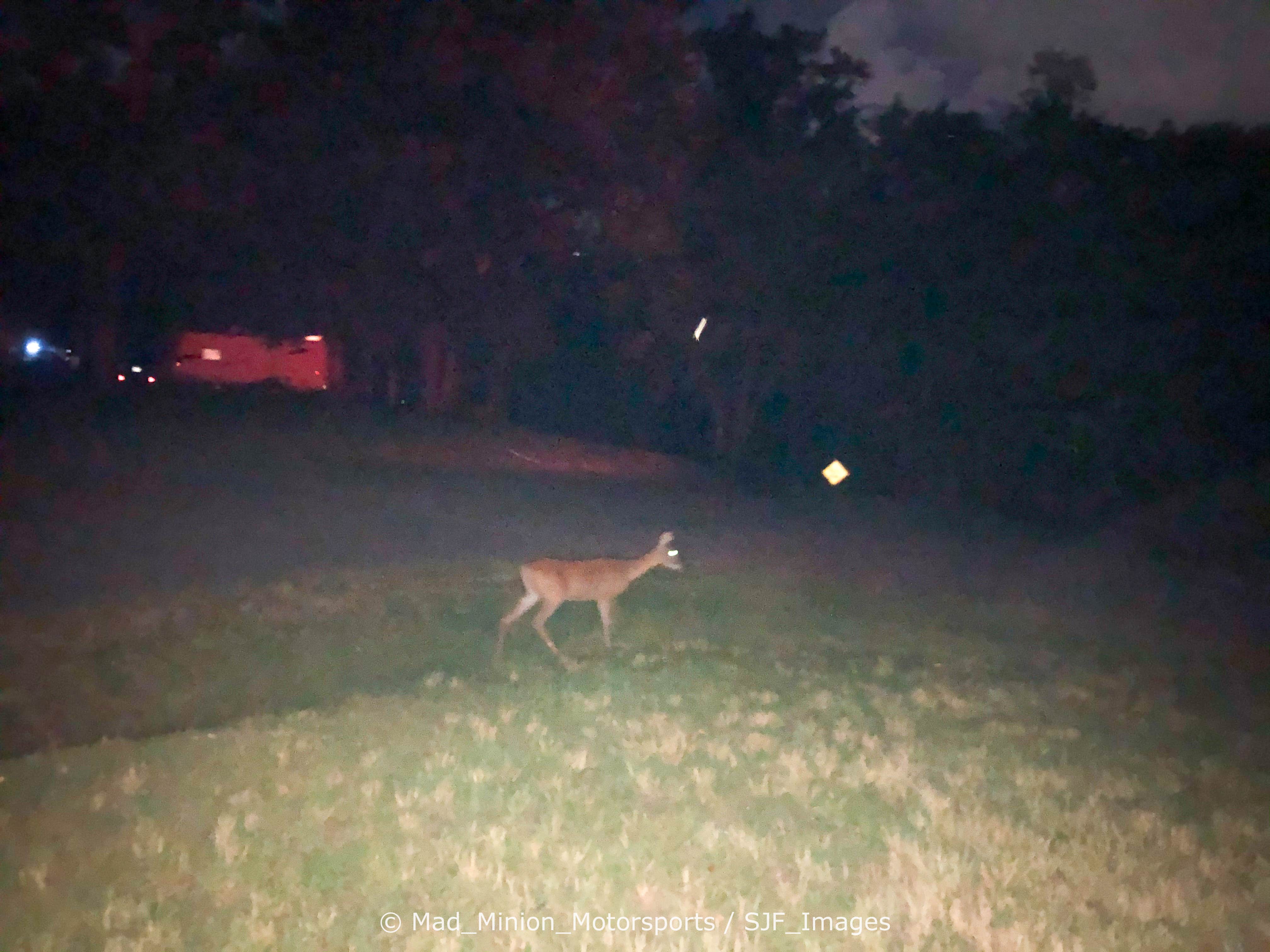 John F.'s photo of camping with pets at COE Beaver Lake Starkey Campground near Cave Springs, AR