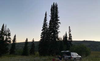 Makena W.'s photo at Salt River Pass near Montpelier, ID