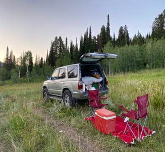 Camper-submitted photo from Salt River Pass
