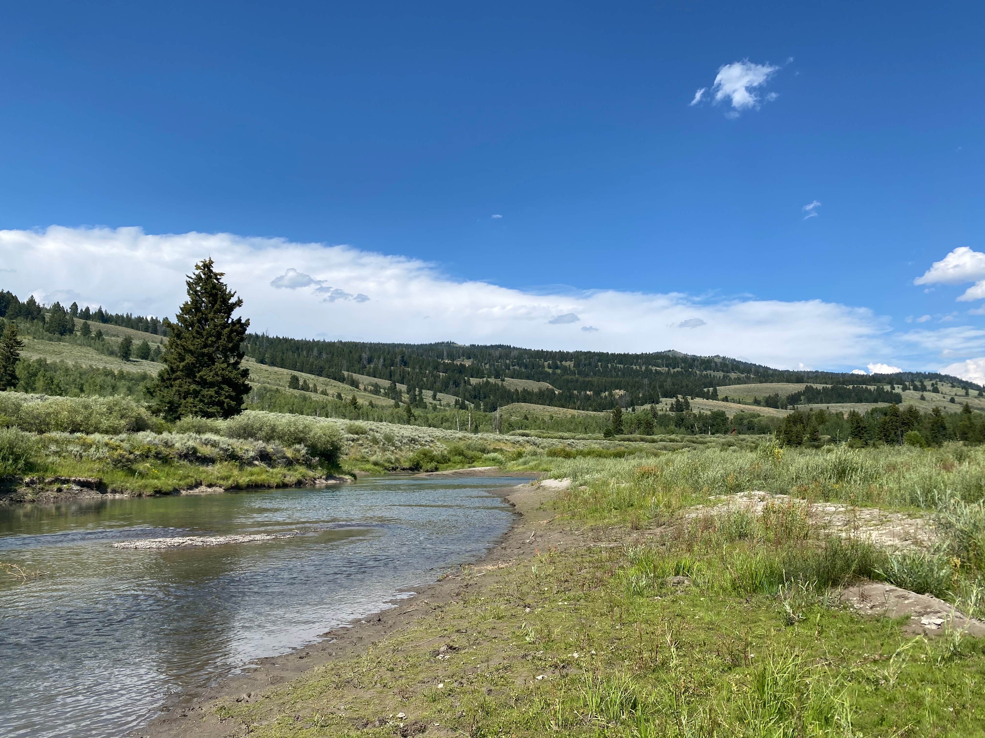 Camper submitted image from Turpin Meadows Dispersed Campground - 4