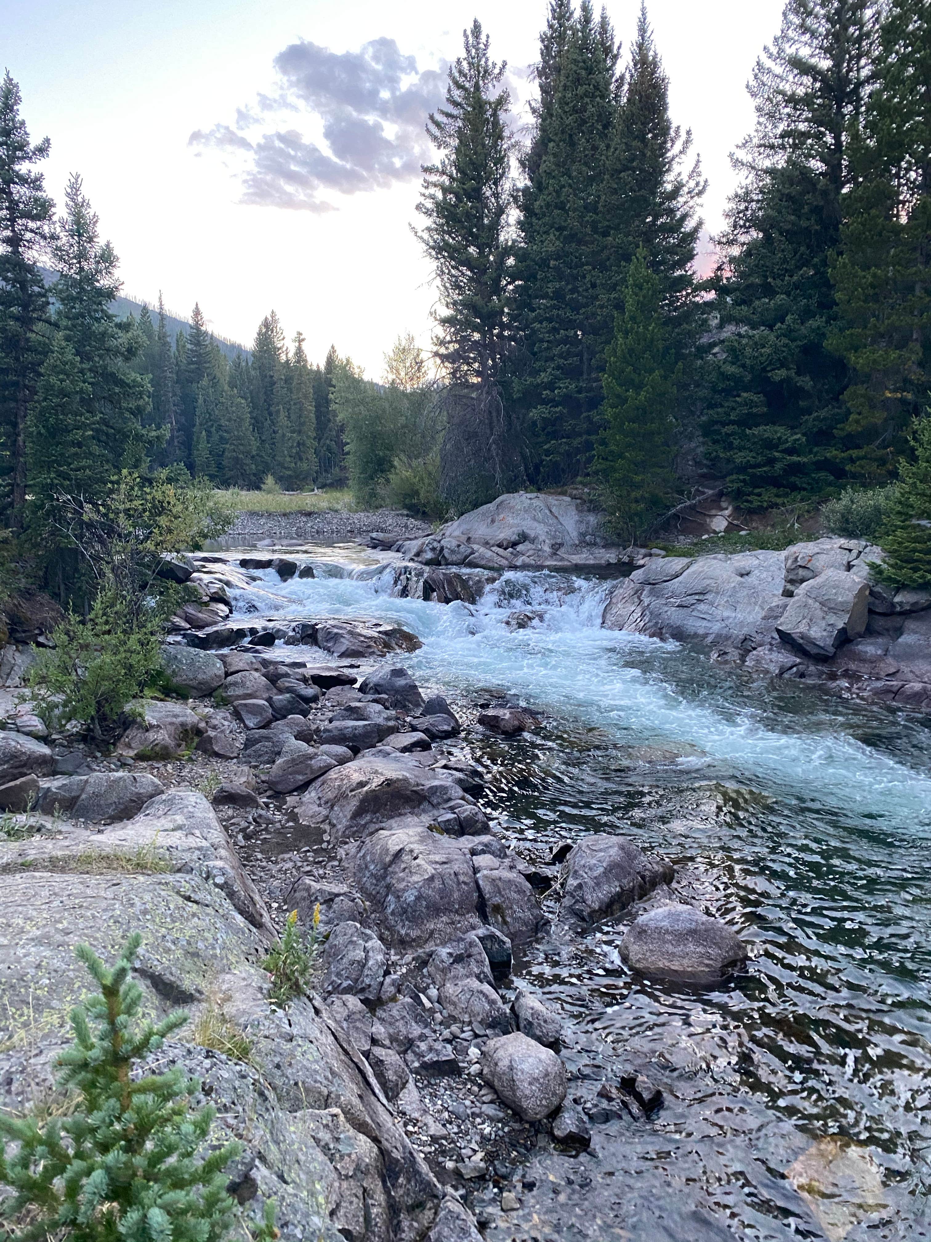 Camper-submitted photo at Beartooth Scenic Byway Camping near Cooke City, MT