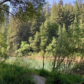 Review photo of Burlington Campground — Humboldt Redwoods State Park by Laura F., August 9, 2020