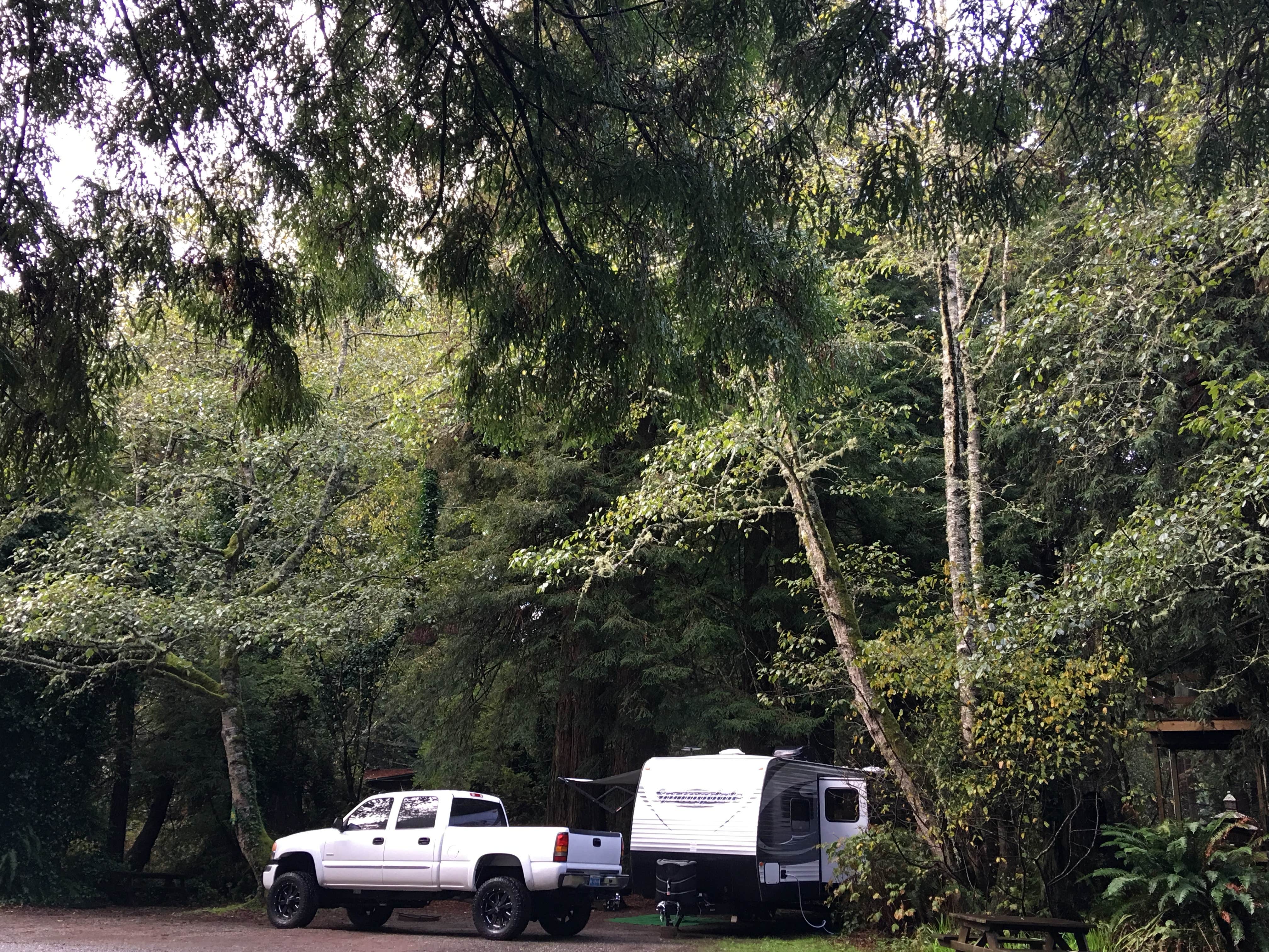 Laura F.'s photo of rv camping at Emerald Forest Cabins & RV near Willow Creek, CA