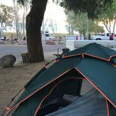 Review photo of Boulder Beach Campground — Lake Mead National Recreation Area by Ashlee L., April 20, 2018
