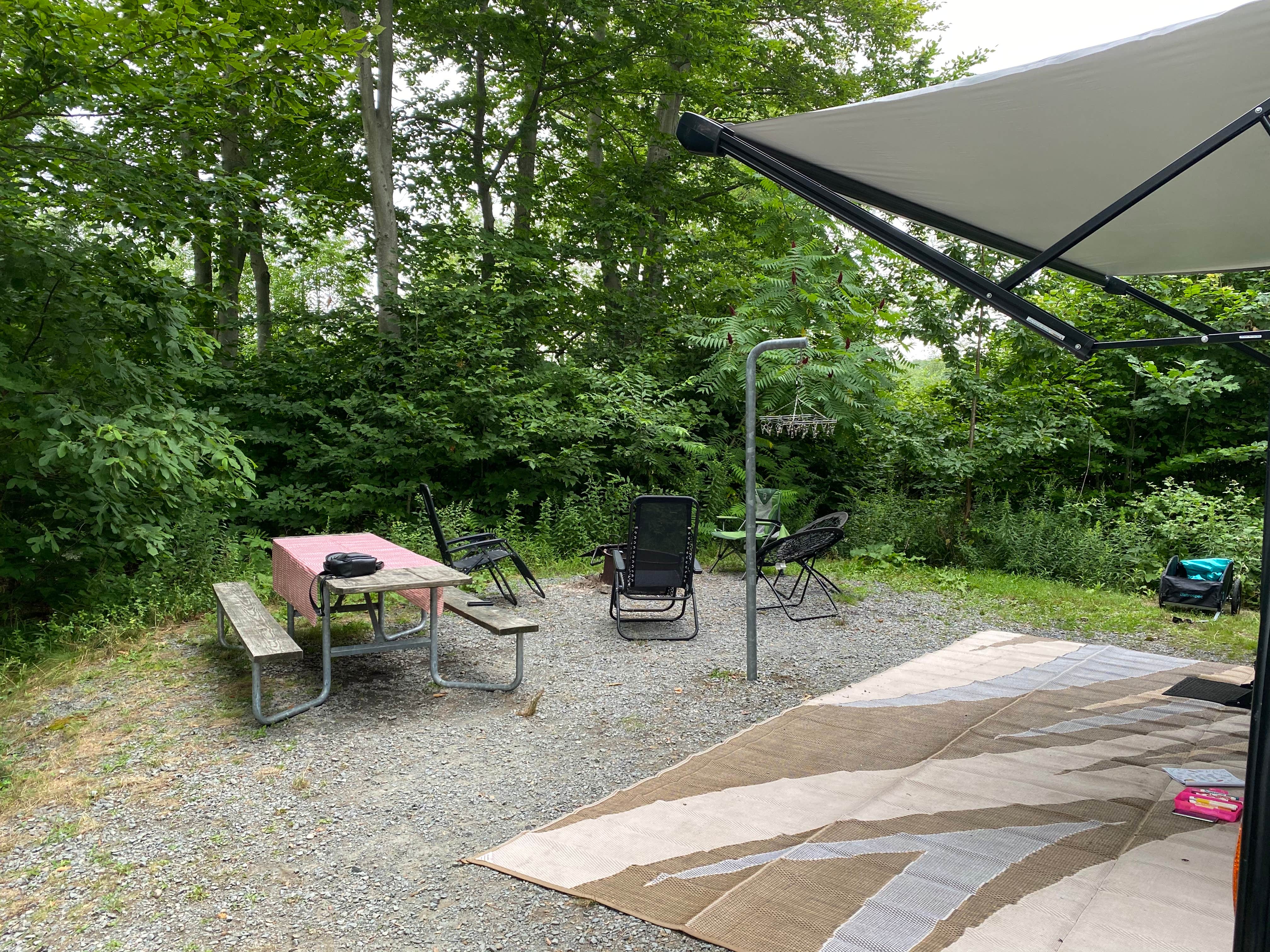 Camper-submitted photo at Pickerel Point Campground — Promised Land State Park near Hewitt, NJ