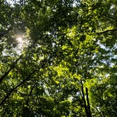 Review photo of Shabbona Lake State Recreation Area by Nikki O., August 9, 2020