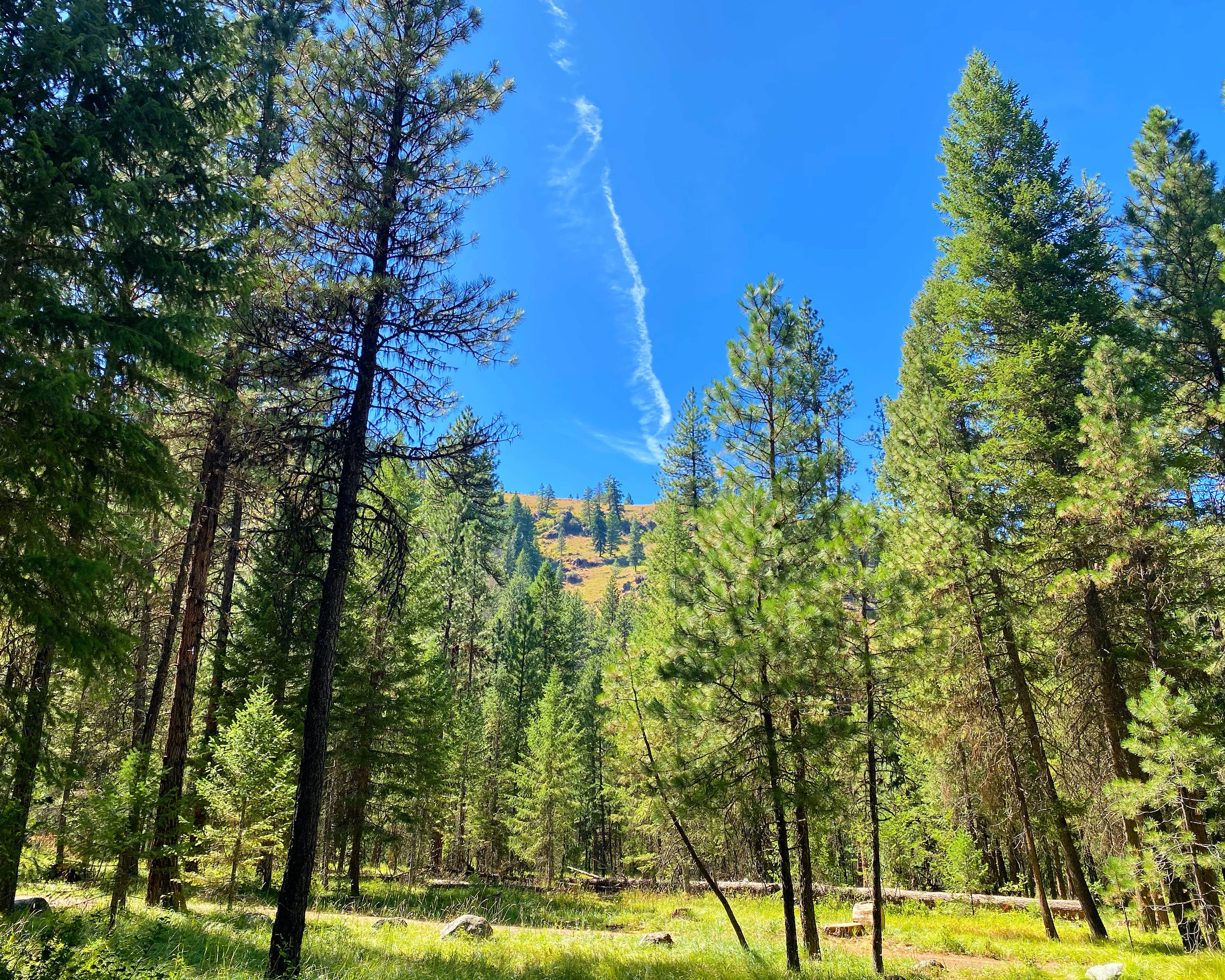 Camper-submitted photo at Blackhorse Campground near Oxbow, OR
