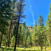 Review photo of Blackhorse Campground by Zac R., August 9, 2020