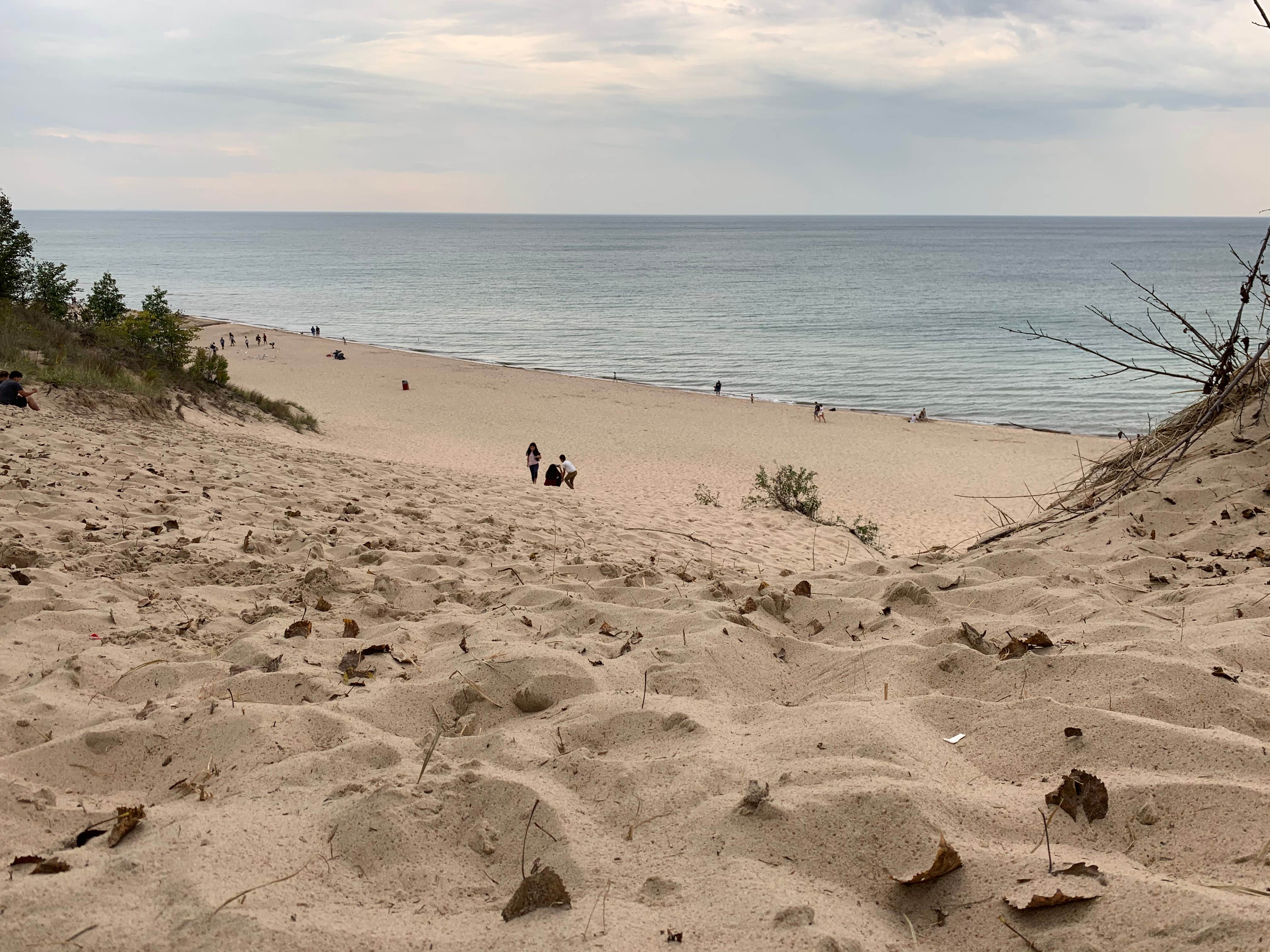 Camper submitted image from Indiana Dunes State Park Campground - 1