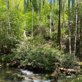 Review photo of Sarah's Creek Campground (Clayton, Ga) — Chattahoochee Oconee National Forest by Hannah F., August 9, 2020