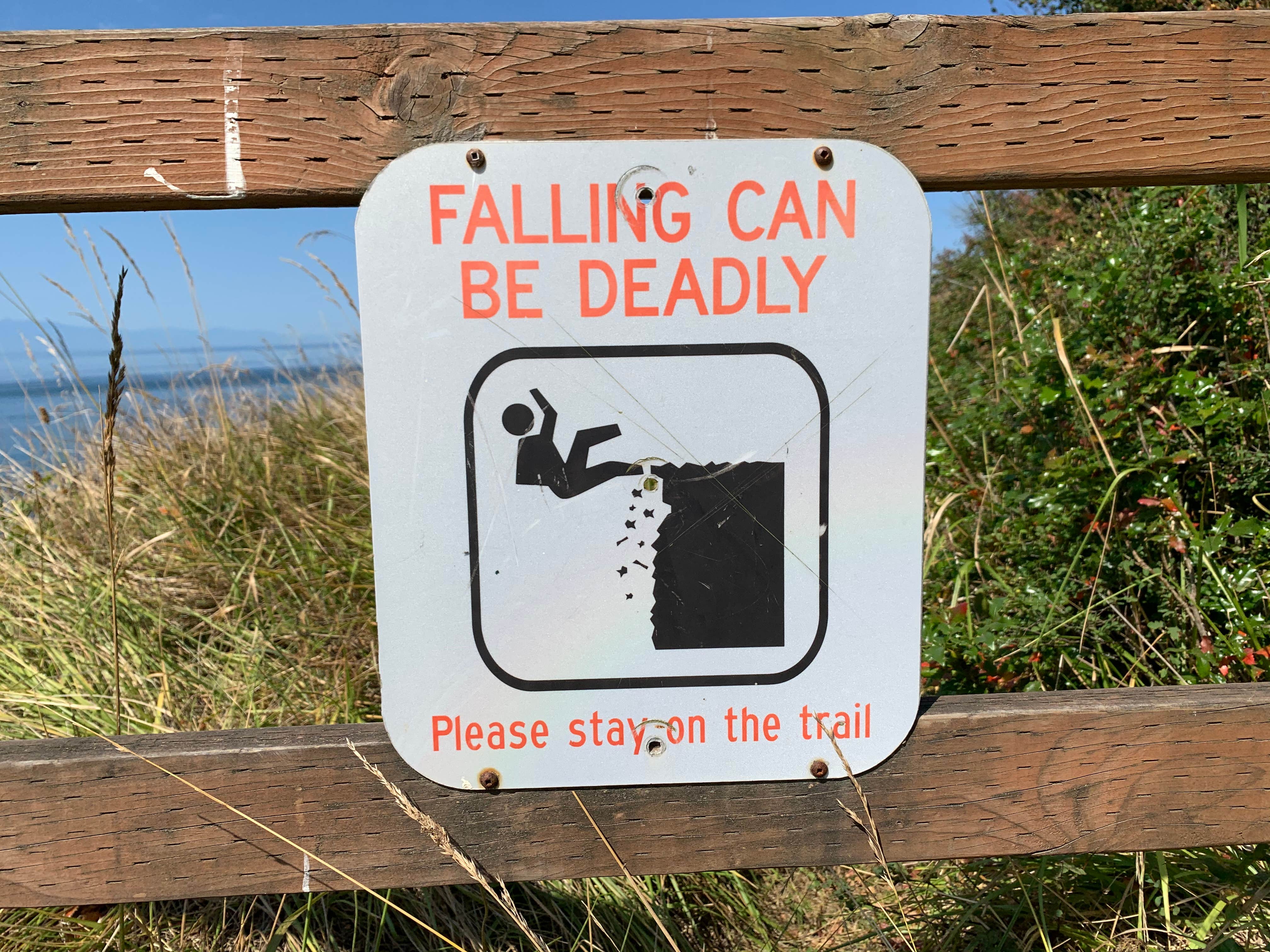 Camper submitted image from Fort Ebey State Park Campground - 5