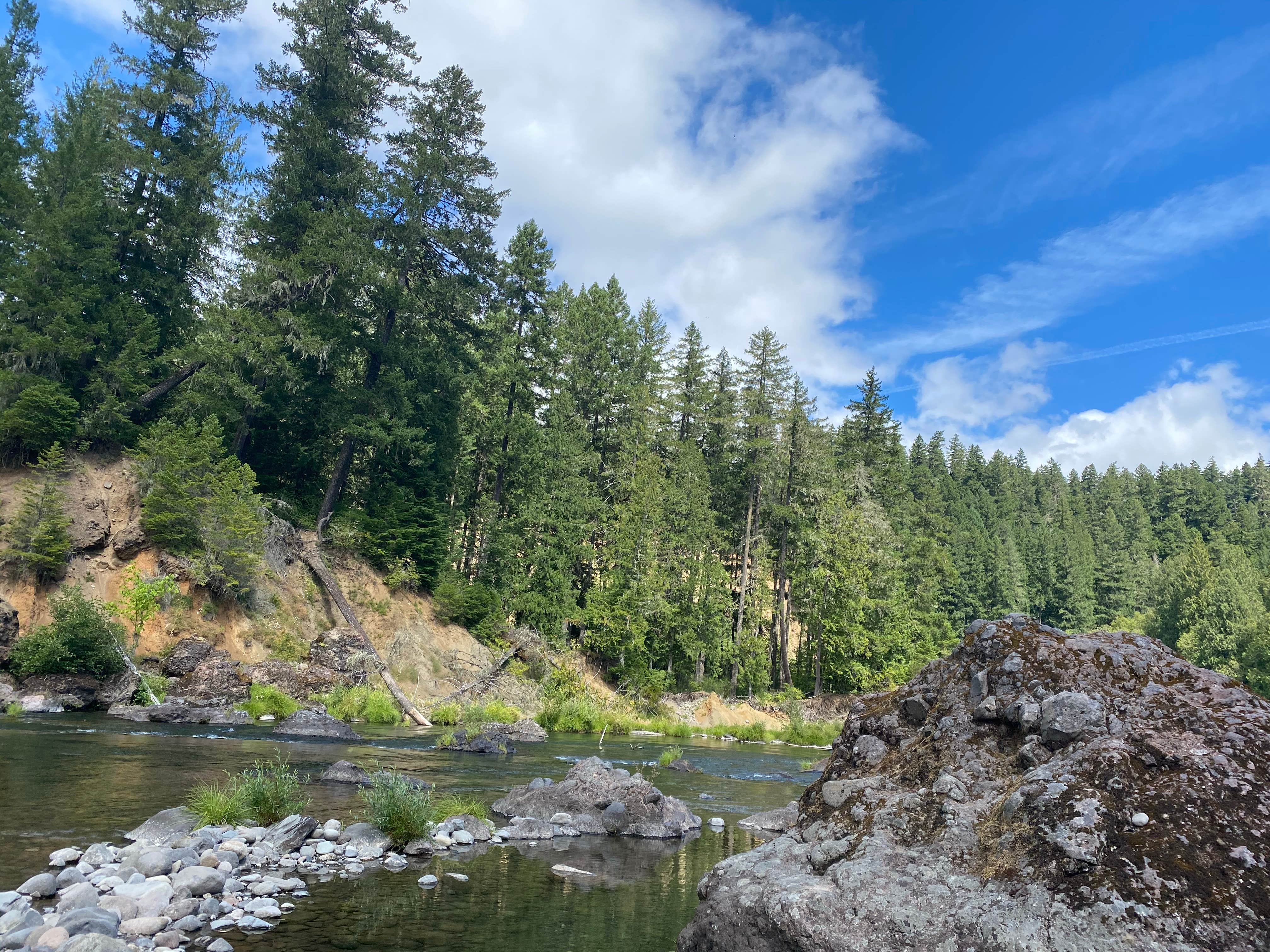 Camper-submitted photo at Alder Flat near Gervais, OR
