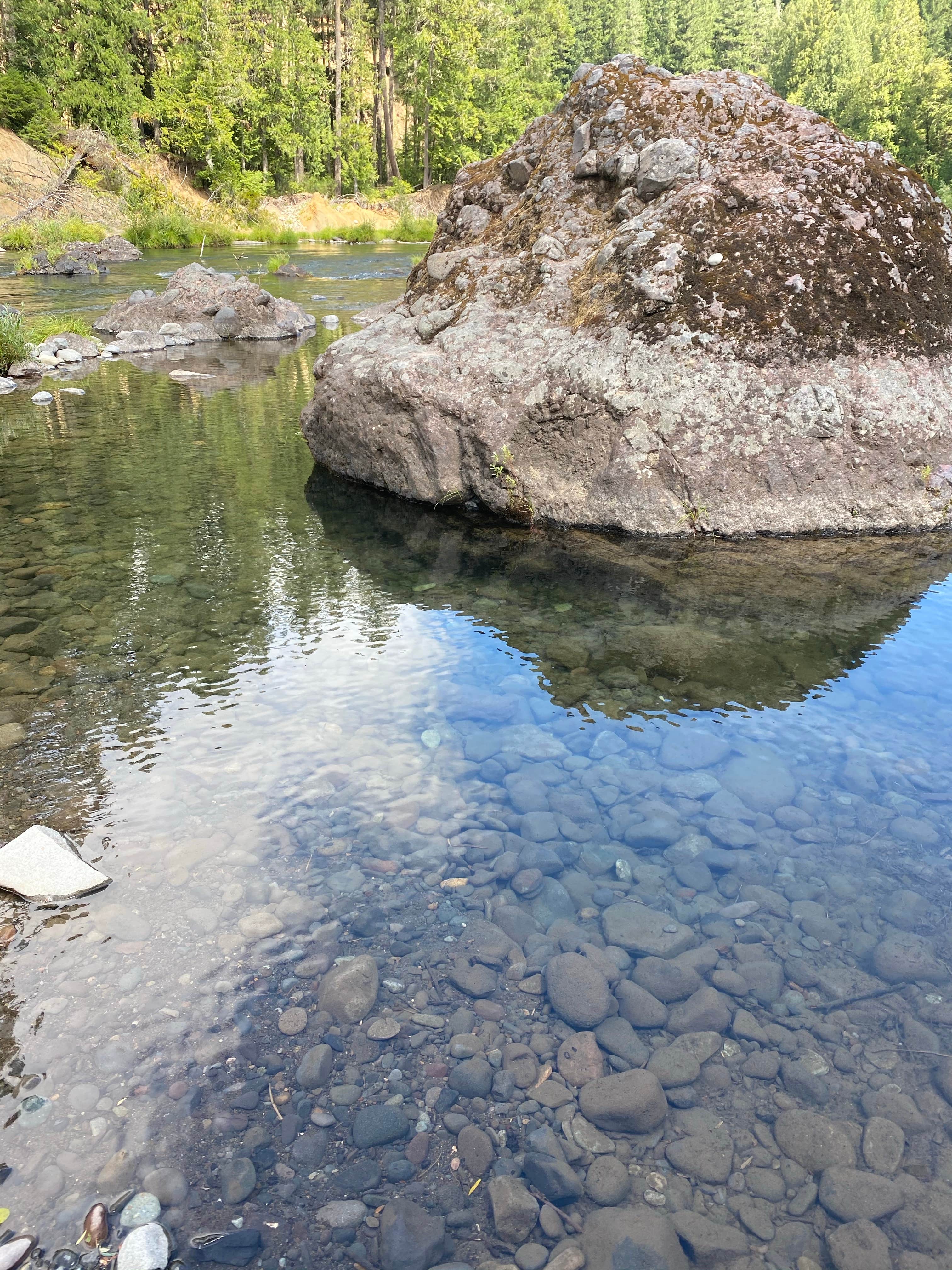 View All