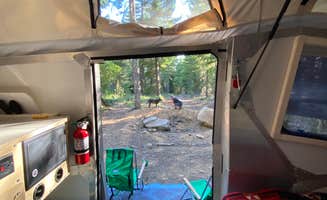 Kevin L.'s photo of a dispersed camping area at Kevin's Mt Hood OG near Tygh Valley, OR