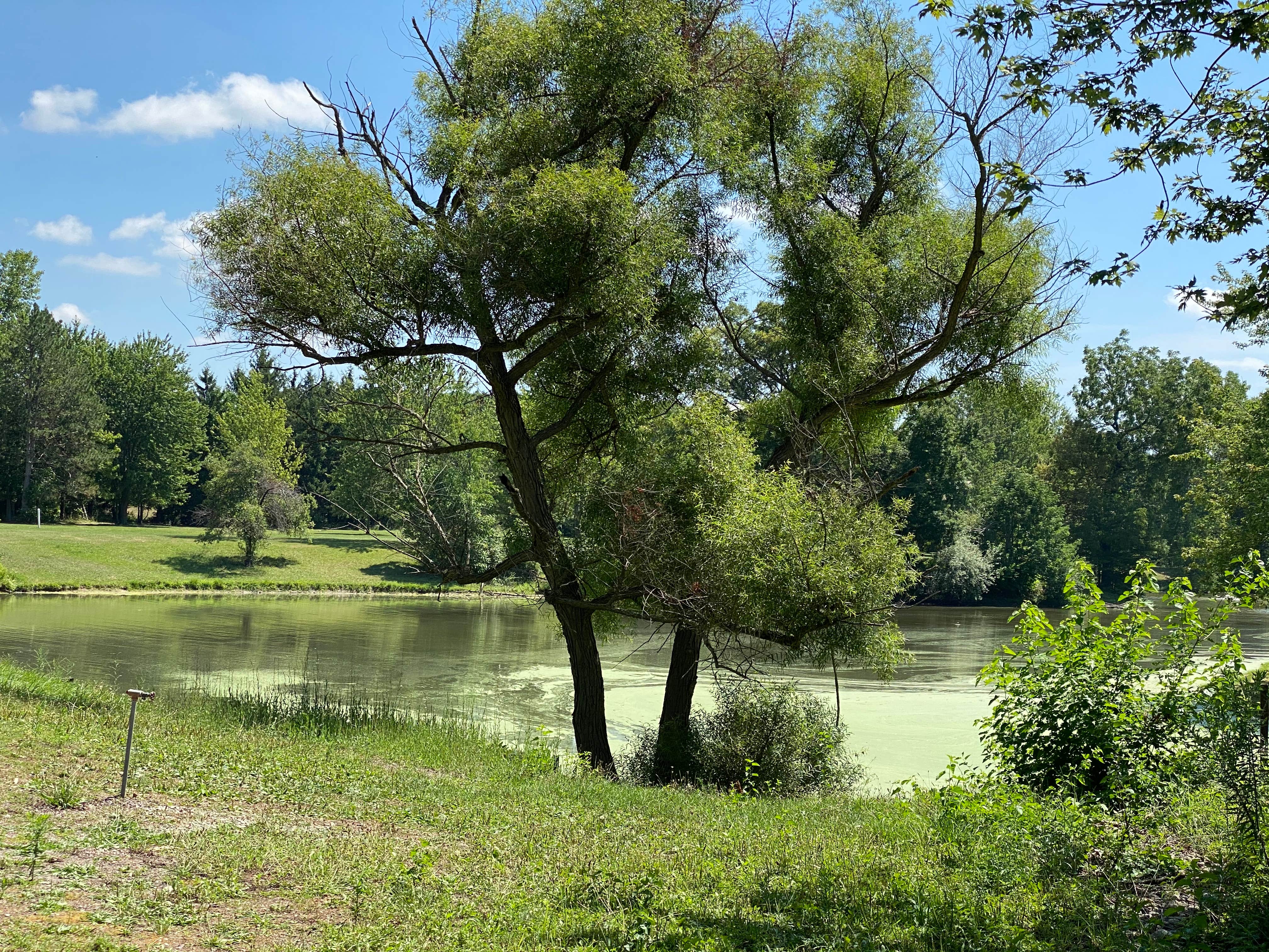 Camper-submitted photo at Adventure Bound Pleasant View near Grand Rapids, OH