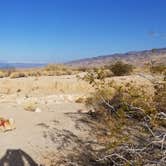 Review photo of Joshua Tree South - BLM Dispersed by Summer B., April 21, 2018