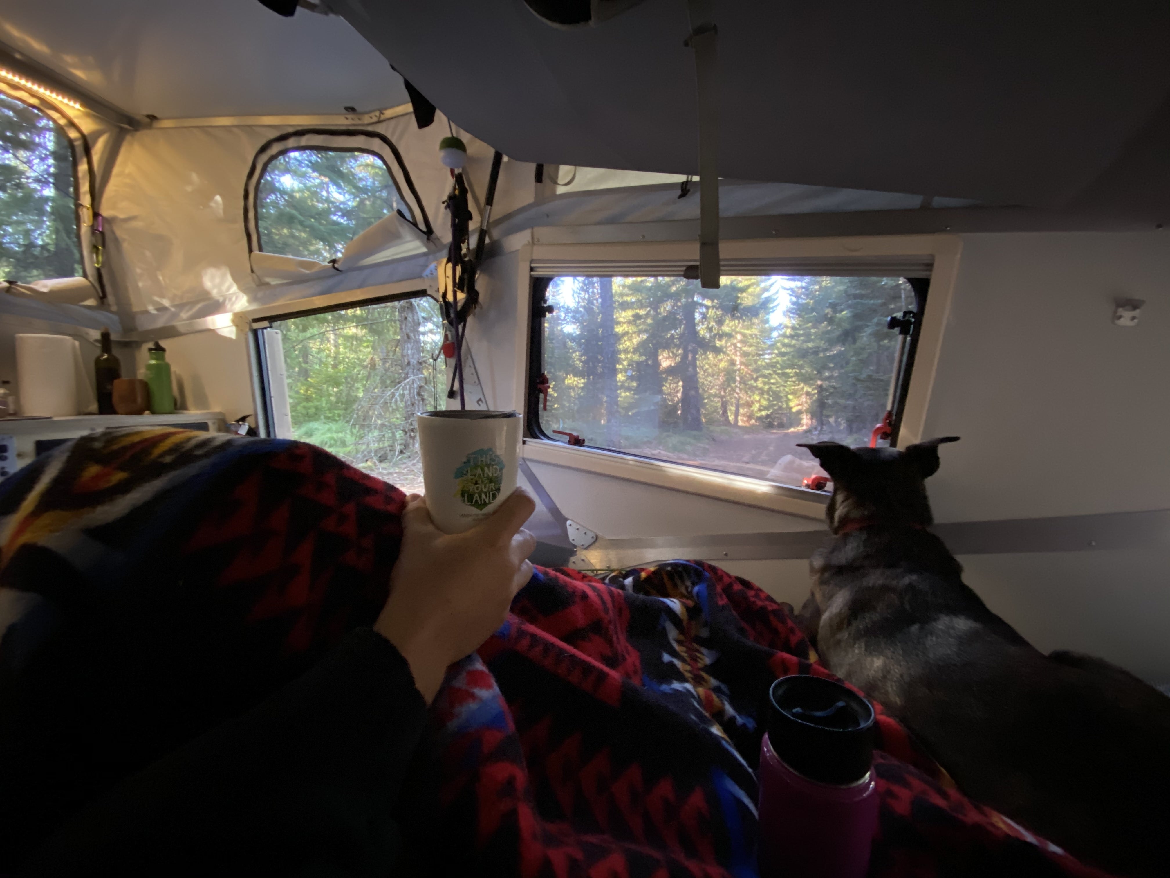 Camper submitted image from Kevin's Mt Hood OG - 5