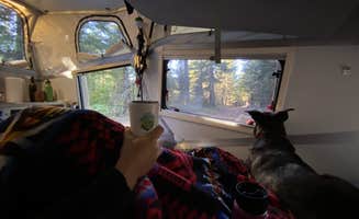 Kevin L.'s photo of camping with pets at Kevin's Mt Hood OG near Mt. Hood National Forest