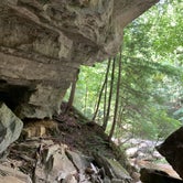 Review photo of Carter Caves State Resort Park by Jarrod M., August 7, 2020