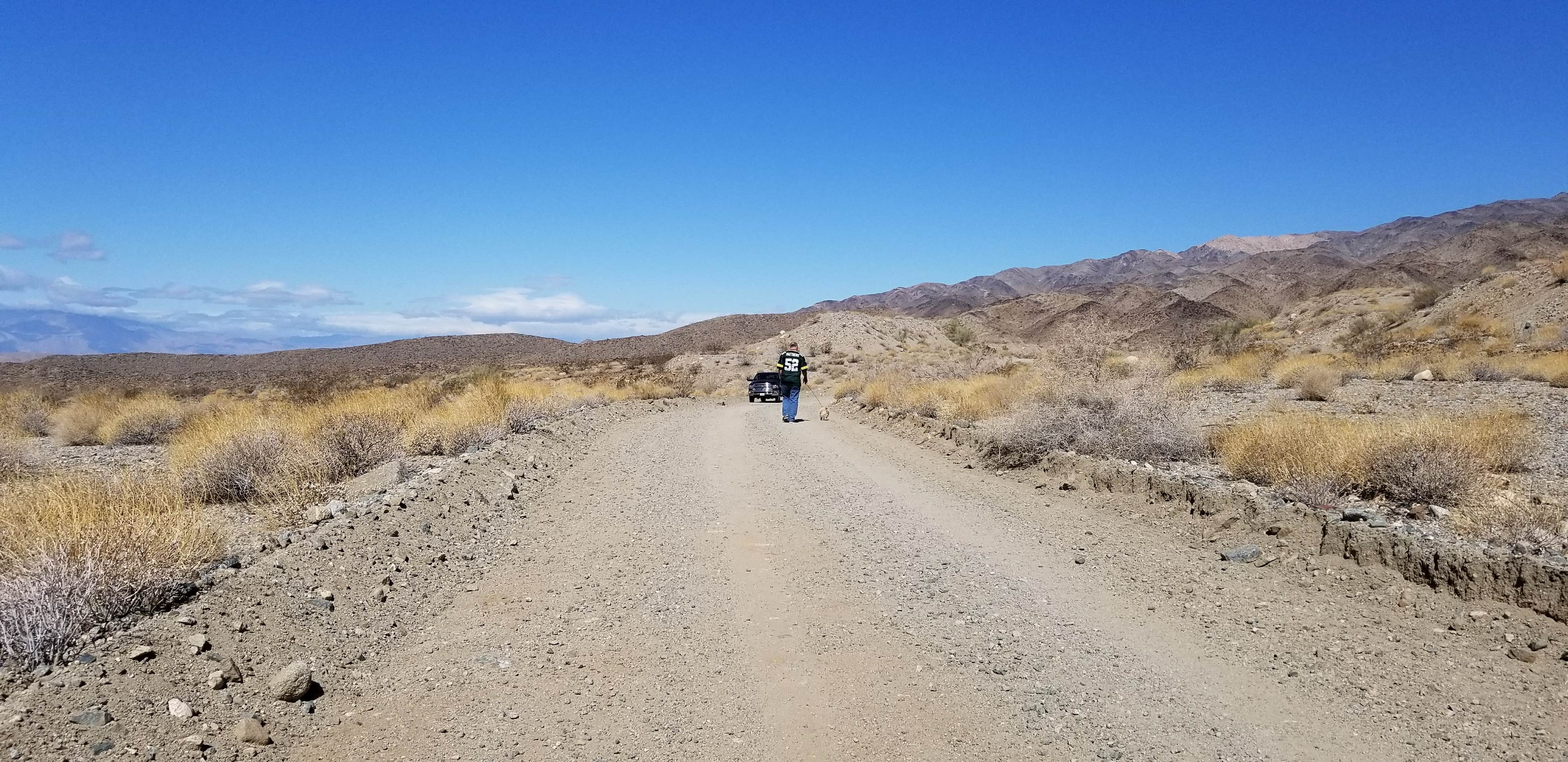 Camper submitted image from Joshua Tree South - BLM Dispersed - 3