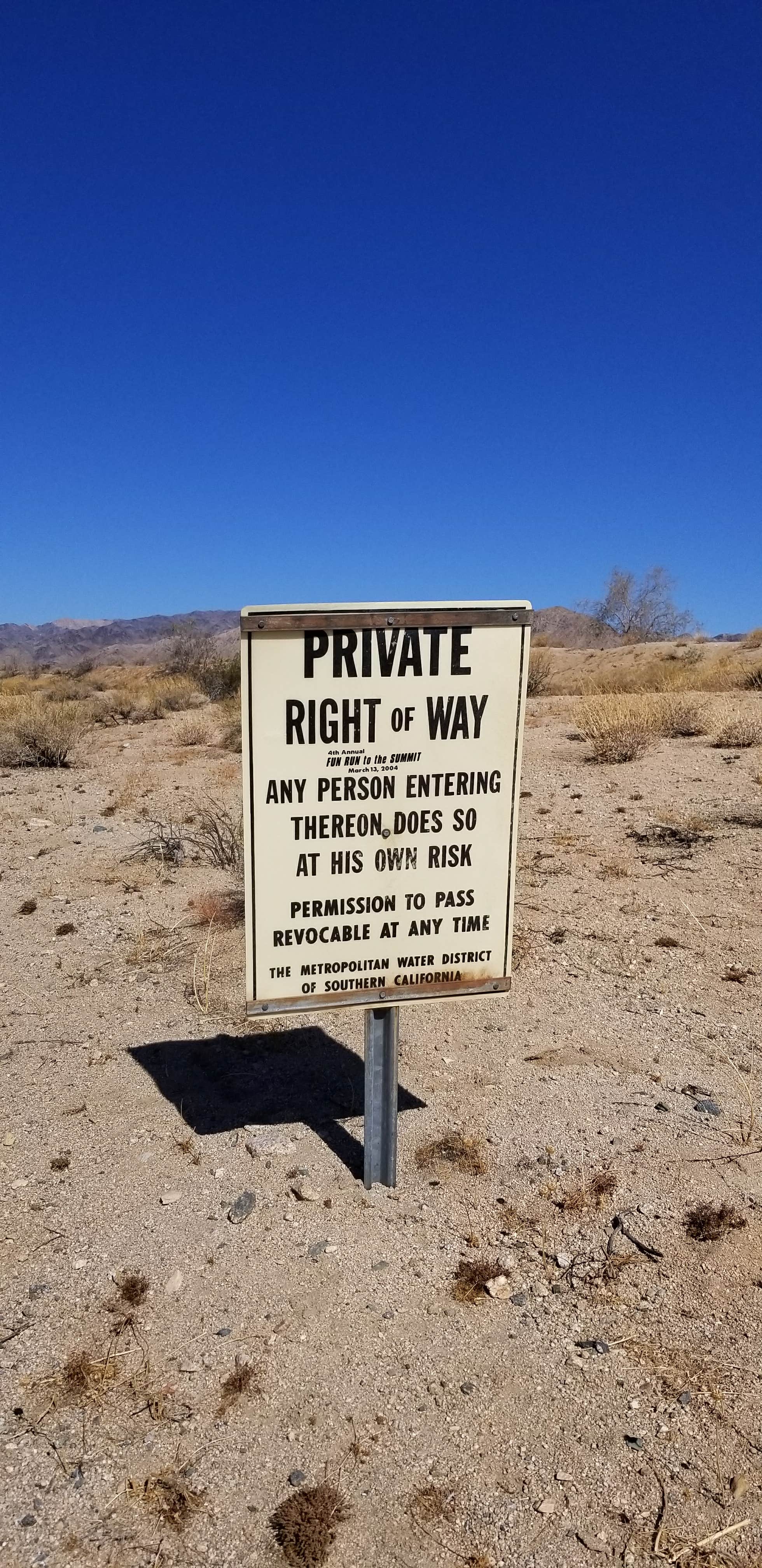 Camper submitted image from Joshua Tree South - BLM Dispersed - 5