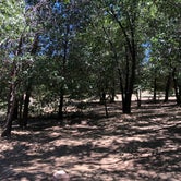 Review photo of Burnt Rancheria Campground by Kramer B., August 9, 2020
