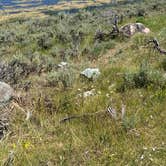 Review photo of Madison Campground — Yellowstone National Park by Laura F., August 9, 2020