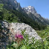 Review photo of Gros Ventre Campground — Grand Teton National Park by Laura F., August 9, 2020