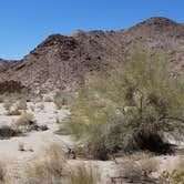 Review photo of Joshua Tree South - BLM Dispersed by Summer B., April 21, 2018