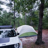 Review photo of Bass River State Forest by Amanda M., August 10, 2020
