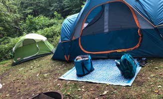 Erinn N.'s photo at Clarence Fahnestock State Park Campground near Buchanan, NY